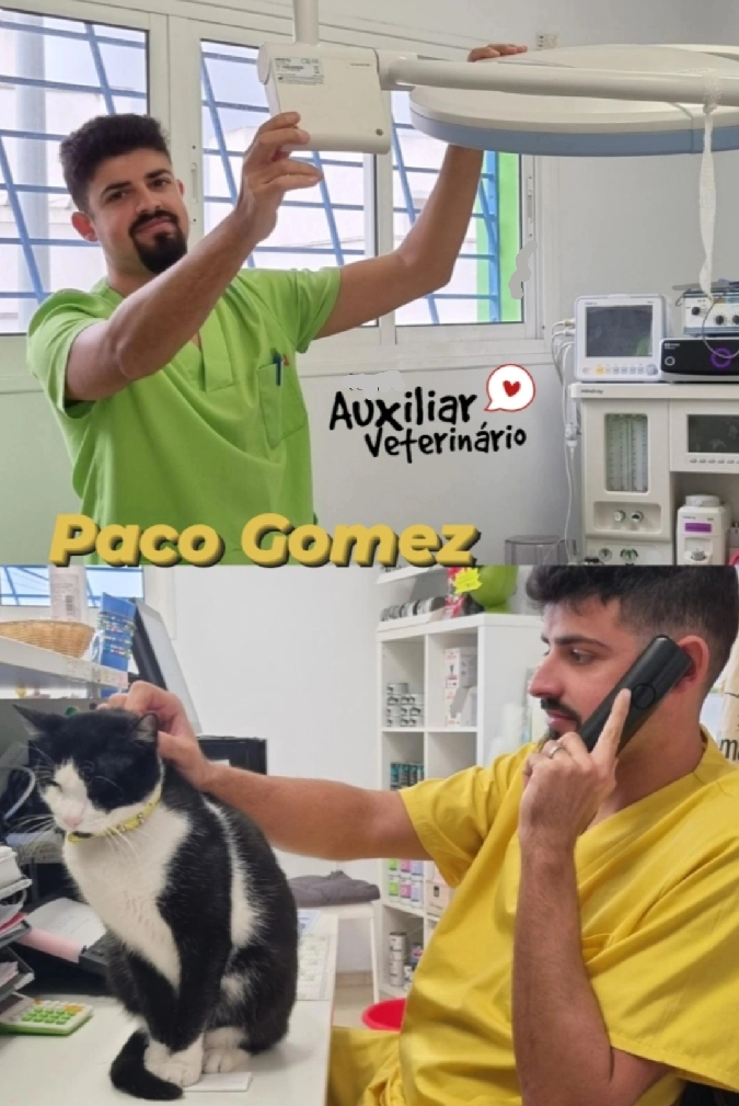 Paco Gómez, Auxiliar en exóticos de Clinica Veterinaria las Flores